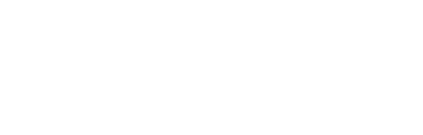 Zash logo